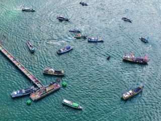 Pesta Rakyat Tanbu 2026: Dari Expo hingga Mappanre Ritasi’e, Ekonomi dan Budaya Disatukan