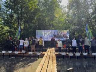 Peringati Hari Jadi ke-23, Pemkab Tanbu Tanam 6.600 Bibit Mangrove di Muara Pagatan