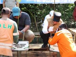 Momen Hari Jadi ke-23 Tanah Bumbu, Bupati Gandeng Kaka Slank Hijaukan Desa Muara Pagatan