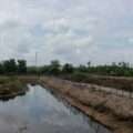 Pemkab Tanah Bumbu Tinggikan Tanggul, Petambak Kepiting Muara Pagatan Tak Lagi Cemas Air Pasang