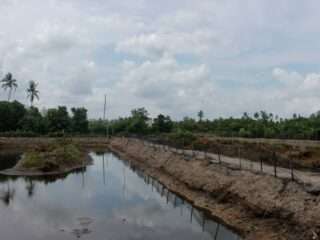 Pemkab Tanah Bumbu Tinggikan Tanggul, Petambak Kepiting Muara Pagatan Tak Lagi Cemas Air Pasang